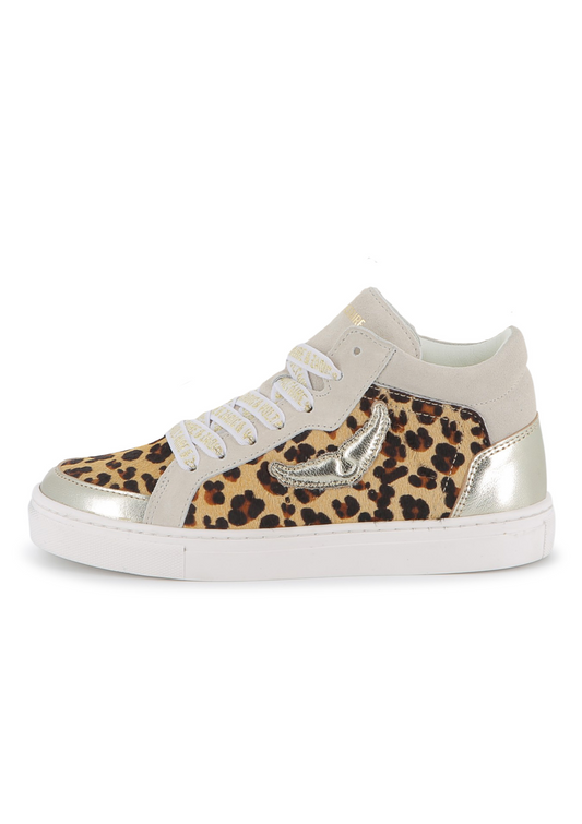 TRAINERS