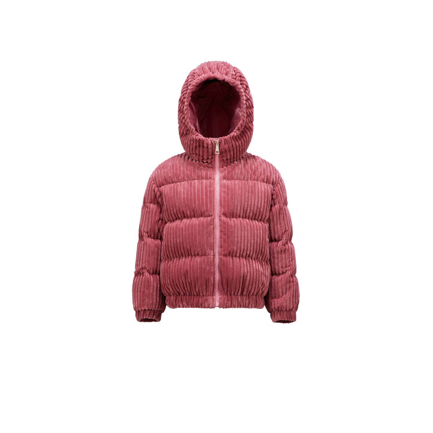 ARLINE JACKET